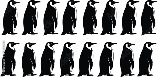 Set of black and white penguin illustrations, standing penguin silhouettes, isolated wildlife animal vector, nature bird graphics, Antarctic animal design collection
