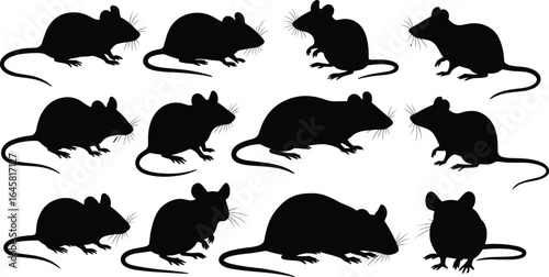 Silhouette illustration of multiple rats and mice in various poses, black vector animal design, isolated rodent collection for wildlife, pest control, and nature concepts