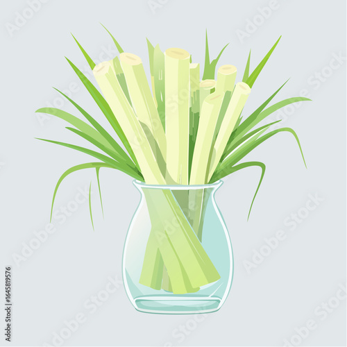 Fresh Lemongrass Stalks in Glass Vase Illustration