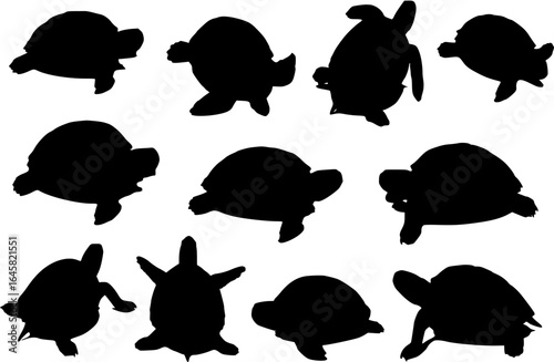 turtle silhouettes
