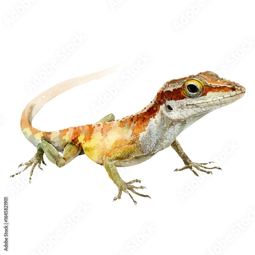 Watercolor vector illustration of Anole, isolated on white background.