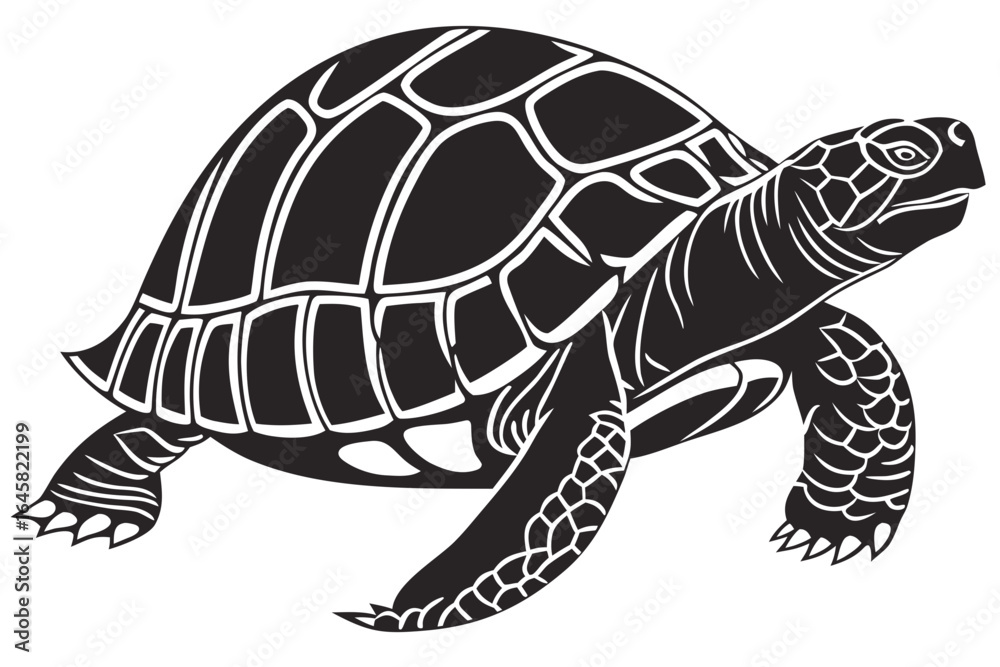 Fototapeta premium Tortoise animal sihouette black vector