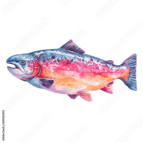 A watercolor painting of Baked Salmon, vector illustration on white background.