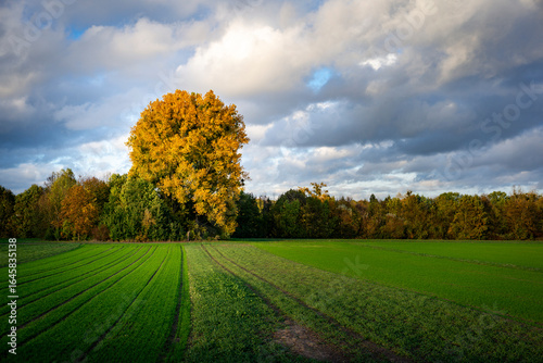 Herbst