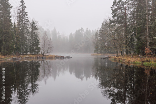 Swedish river and natural salmon area in winter. Farnebofjarden national park in north of Sweden.