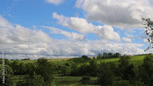 Green crops 8K