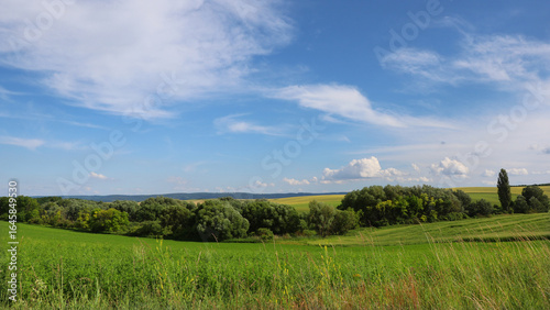 Summer landscape 8K