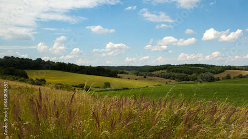 Sunny hills 4K