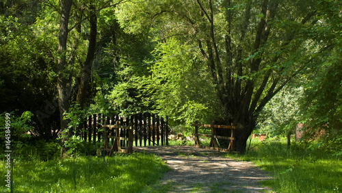 Wooden gate to the meadow 4K