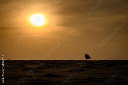 Sonnenuntergang