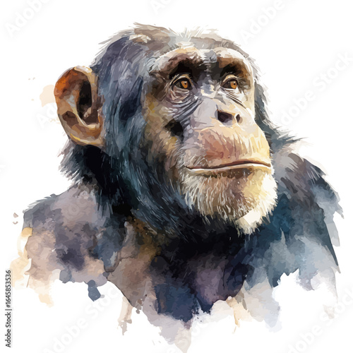 Chimpanzee in watercolor style, vector illustration, isolated on white background.
