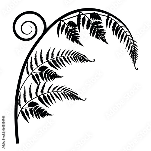 black fern leaf silhouette decorative design - Silhouette of Fern Leaf with Spiral Design