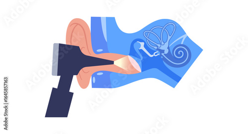Human ear exam