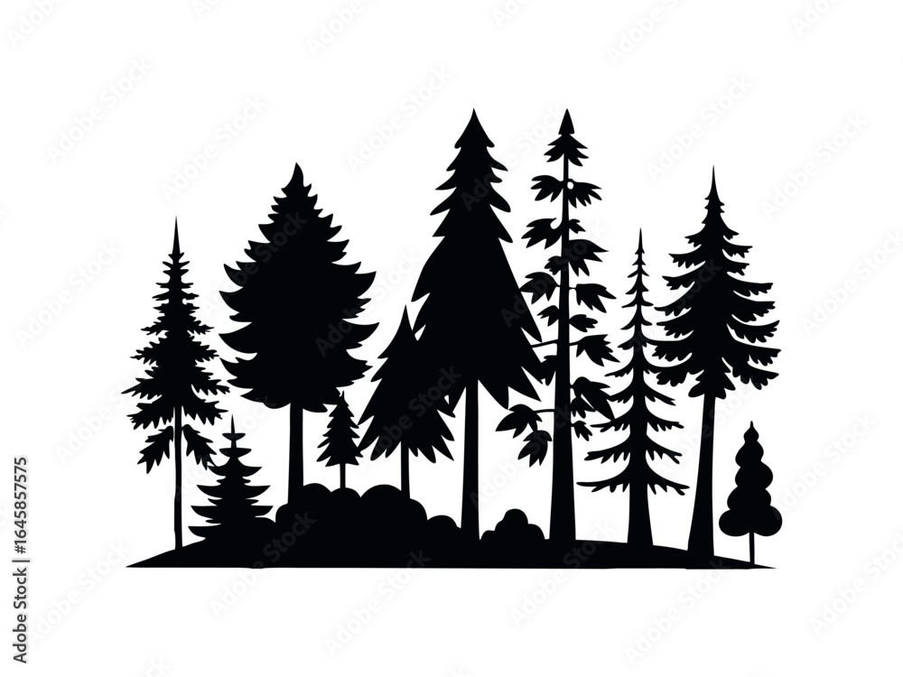 Obraz premium Silhouettes of evergreen trees in a forest setting