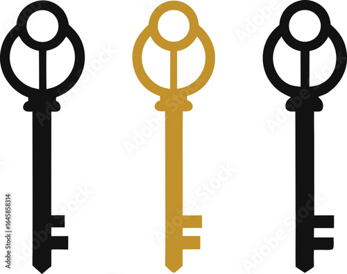 Black and gold antique keys classic keys black keys
