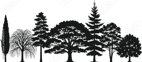 A vector silhouette set of diverse tree species with detailed branches and leaves