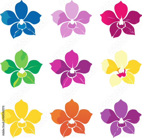 Colorful silhouette set of diverse orchid flowers