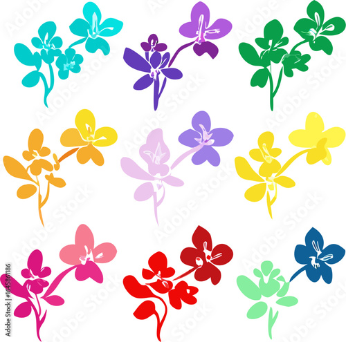 Colorful silhouette set of different orchid flowers