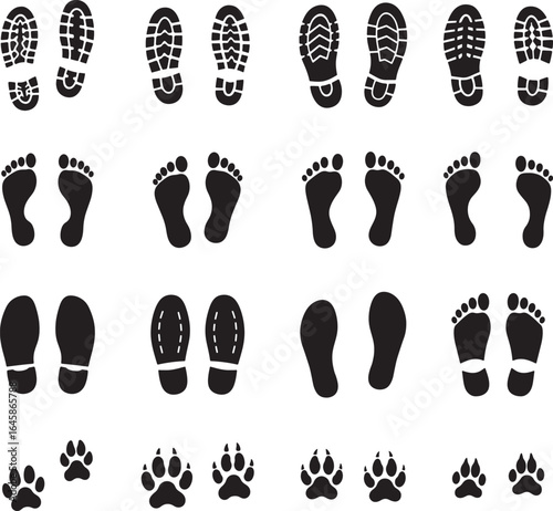 Footprints and paw prints isolated on white background showing different patterns