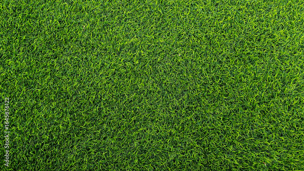 Fototapeta premium Green grass background, top view background of garden bright grass concept used for making green backdrop.