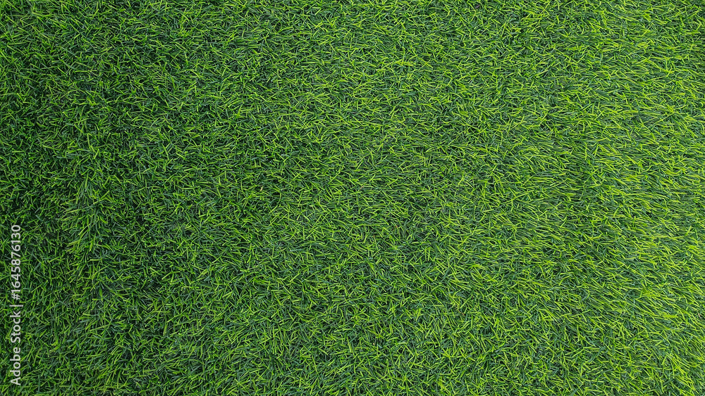 Fototapeta premium Green grass background, top view background of garden bright grass concept used for making green backdrop.