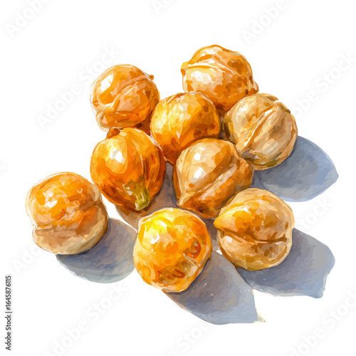 A watercolor painting of Chickpeas, vector illustration on white background.