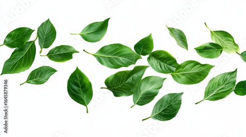 Vibrant green leaves float gracefully against a stark white backdrop, creating a dynamic, nature-inspired design