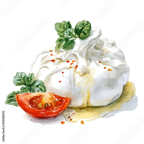 Watercolor vector illustration of Burrata, isolated on white background.