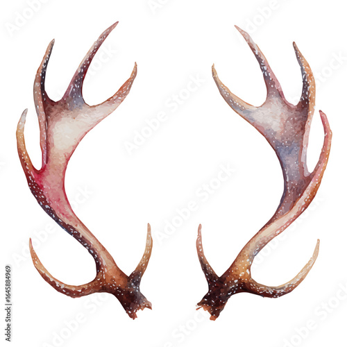 A watercolor painting of Christmas Reindeer Antlers, vector illustration on white background.