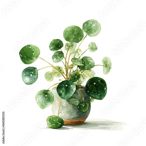 Watercolor vector illustration of Chinese Money Plant, isolated on white background.