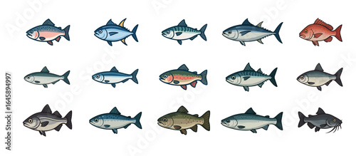 various type of fishes vector icon or avatar 