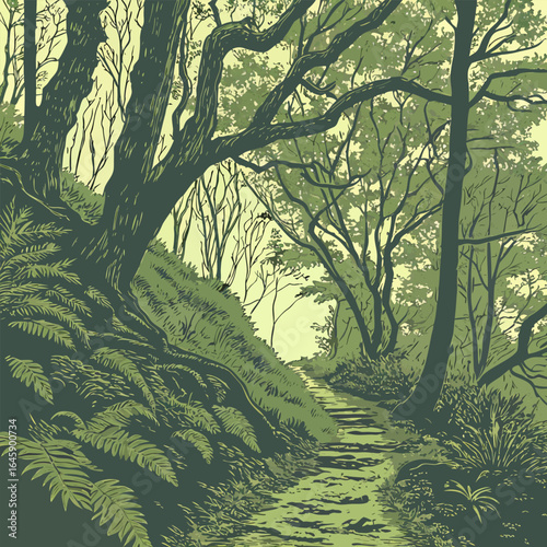 A serene forest path winding through lush greenery with tall trees and ferns along the hillside view scene