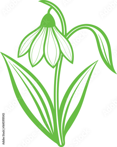 Simple green drawing of a snowdrop flower isolated on white background