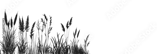 Wild coastal plants and tall grasses, including cattails and reeds, forming a silhouette along the swampy riverbank.