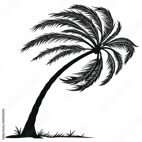 Tableau sur toile Windblown palm tree on beach silhouette