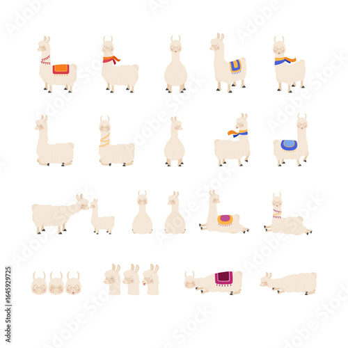 Cute cartoon llama. Vector illustration isolated on white background. Llama cartoon design, Animal cute zoo life nature character childhood and adorable theme Vector illustration