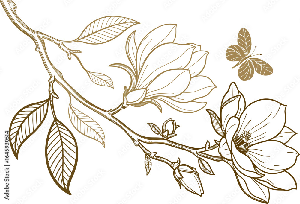 Fototapeta premium colorful magnolia flowers line art isolated on white background. Luxury magnolia floral design elements for invitation, wedding, wallpaper, print template, vector.Generative AI