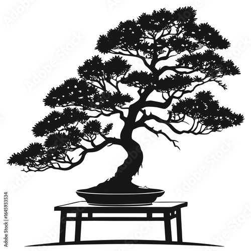 Bonsai tree on table silhouette