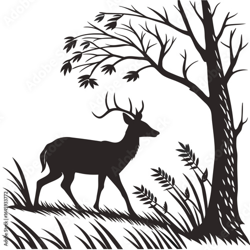 Deer in forest clearing silhouette