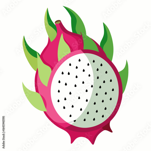 dragon fruit vector illustration