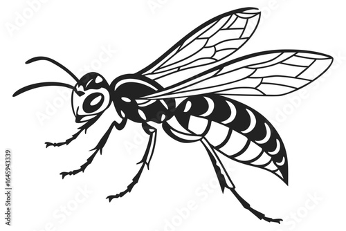 Wasp animal sihouette black vector