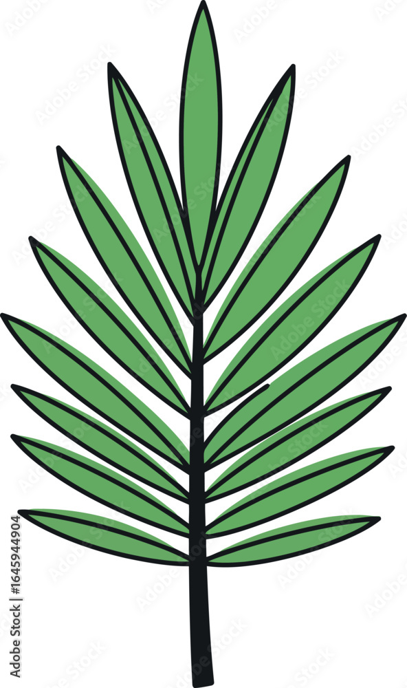 Obraz premium Green palm leaf illustration tropical plant isolated