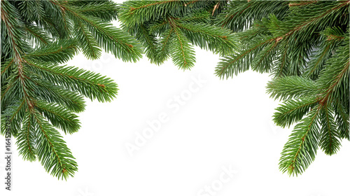 Christmas green pine branch isolated on transparent background with natural texture