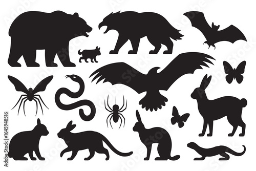 Silhouette of various animals including bear, eagle, bat, butterfly, rabbit, snake, spider, lizard, rodent, insect, bird, reptile, arachnid, hare, serpent, and other creatures