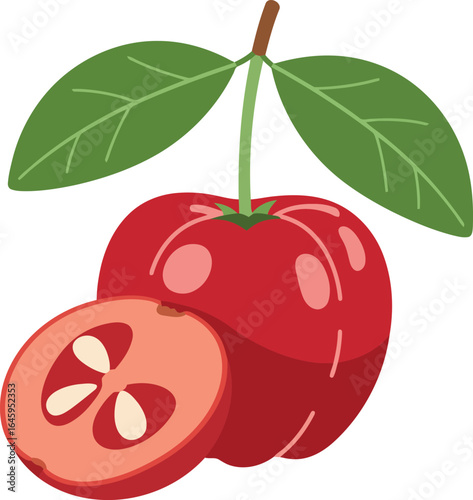 Acerola cherry fruit vitamin c superfood red tropical berry