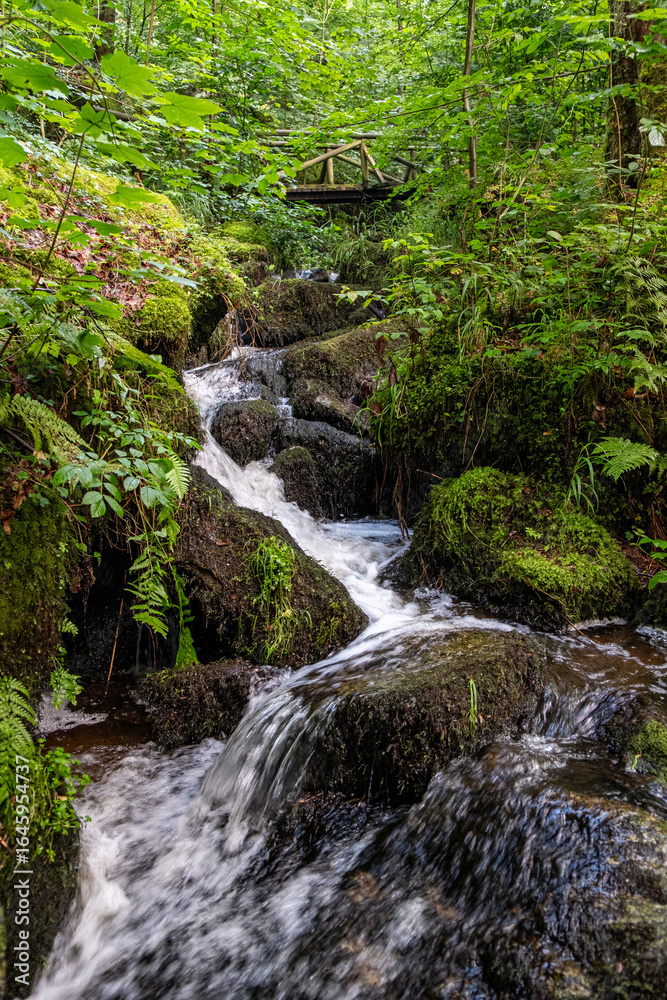 Waterfall in the Black Forest Waterfall in the Black Forest