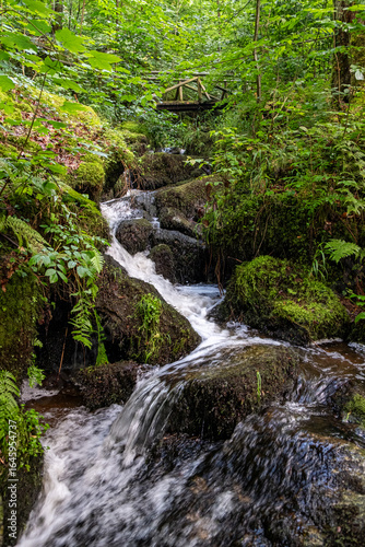 Waterfall in the Black Forest