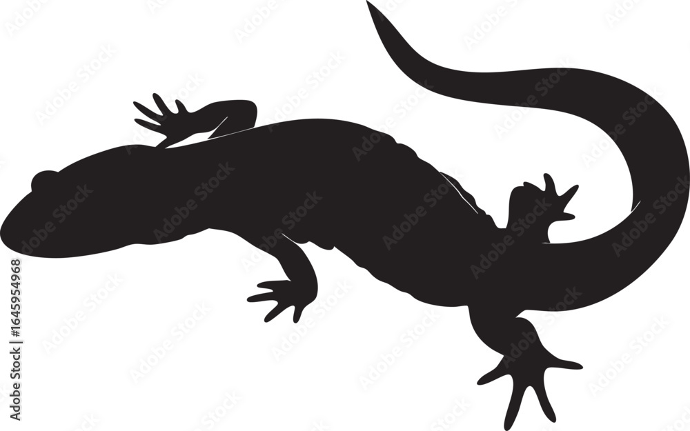 Fototapeta premium Silhouette Of A Lizard On White Background