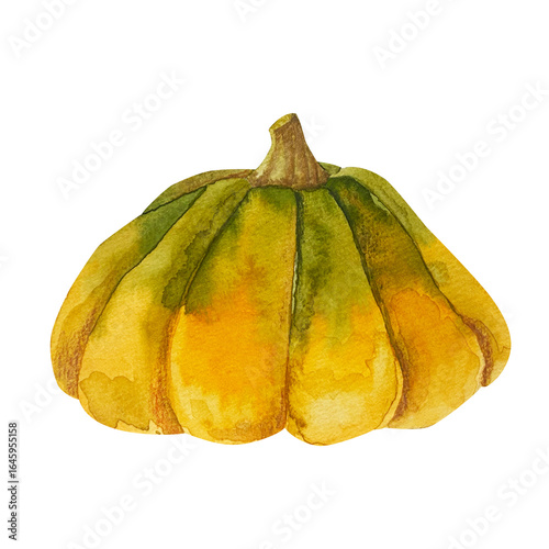  Watercolor hand drawn autumn illustration of a decorative pumpkin of the Scheherazade . Harvest vegetable isolated. Perfect for fall design, Thanksgiving decor, Hallowen decor, seasonal