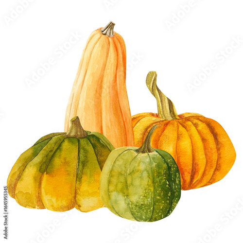 watercolor hand drawn autumn composition of an orange and green pumpkins. harvest vegetable isolated. perfect for fall design, thanksgiving decor, hallowen decor, seasonal invitations